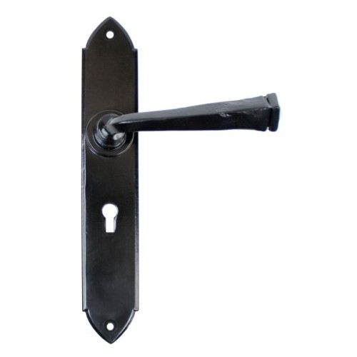 GOTHIC LEVER HANDLE ON BACKPLATE